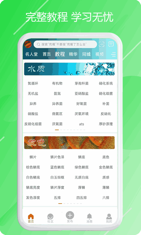 龙族