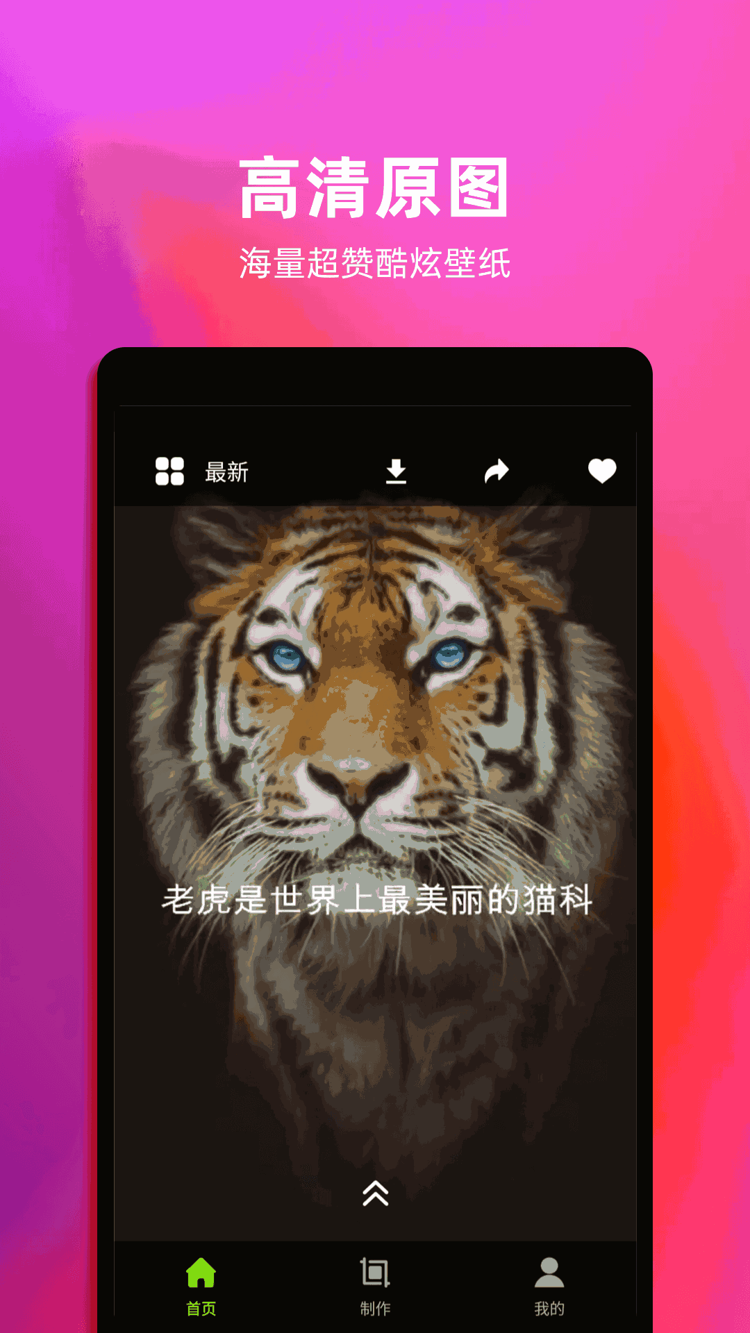 4k动态壁纸